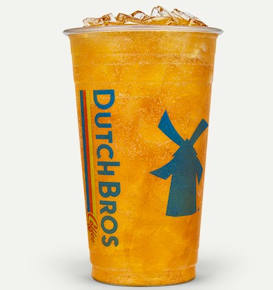 Dutch Bros Palm Tree